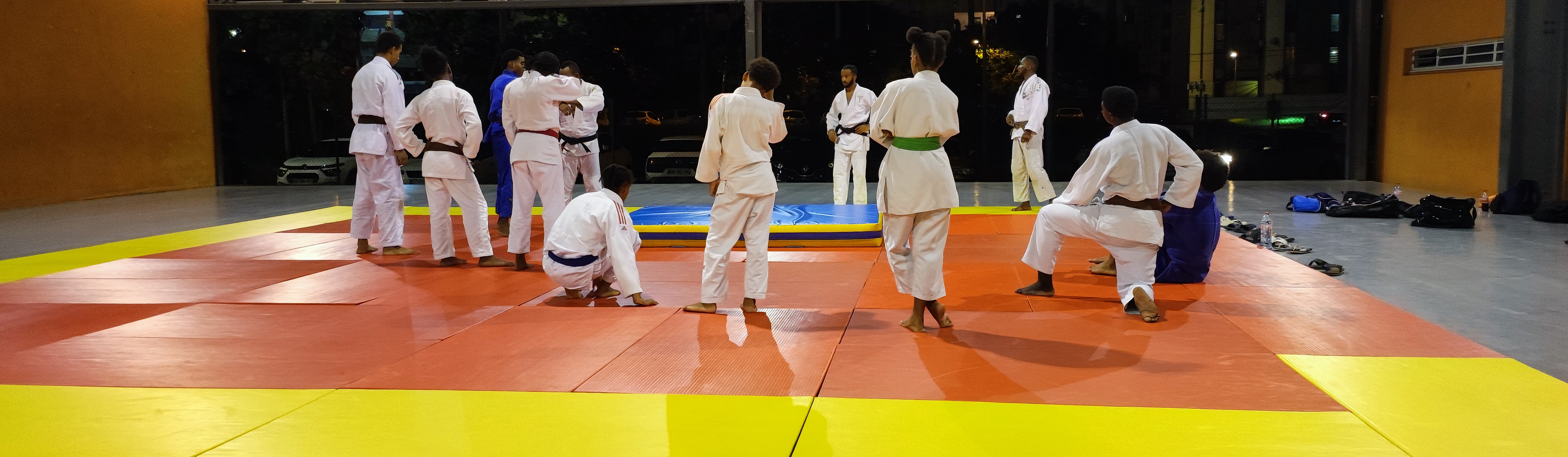 Le Judo Arts Martial Traditional 